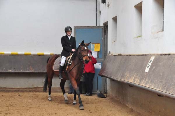 Reiterpruefung_04_2016(19)kl