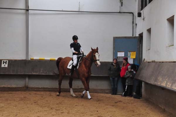 Reiterpruefung_04_2016(37)kl