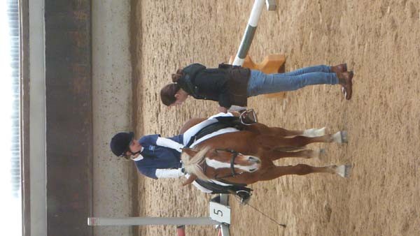 Reiterpruefung_04_2016(4)kl