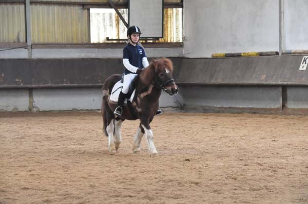 Reiterpruefung_04_2016(56)kl