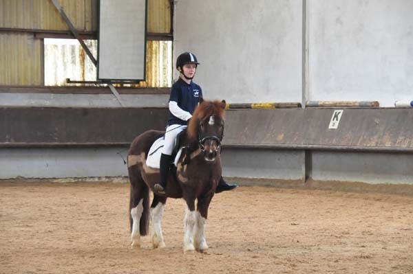 Reiterpruefung_04_2016(64)kl