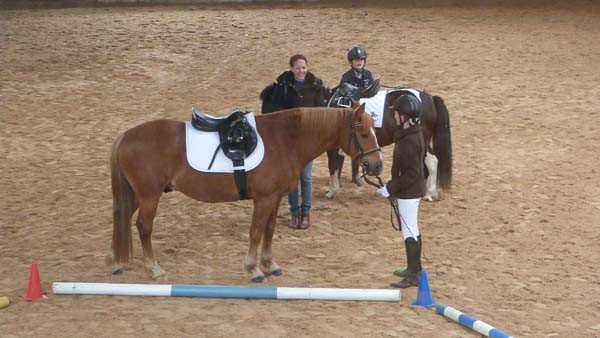 Reiterpruefung_04_2016(7)kl