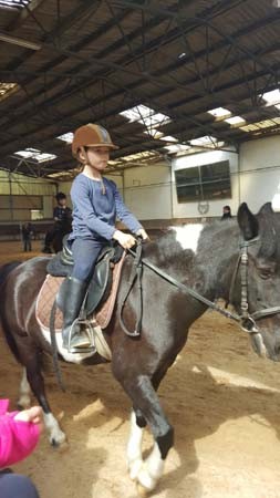 Reiterpruefung(10)kl