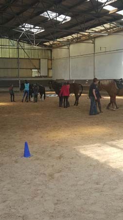 Reiterpruefung(12)kl