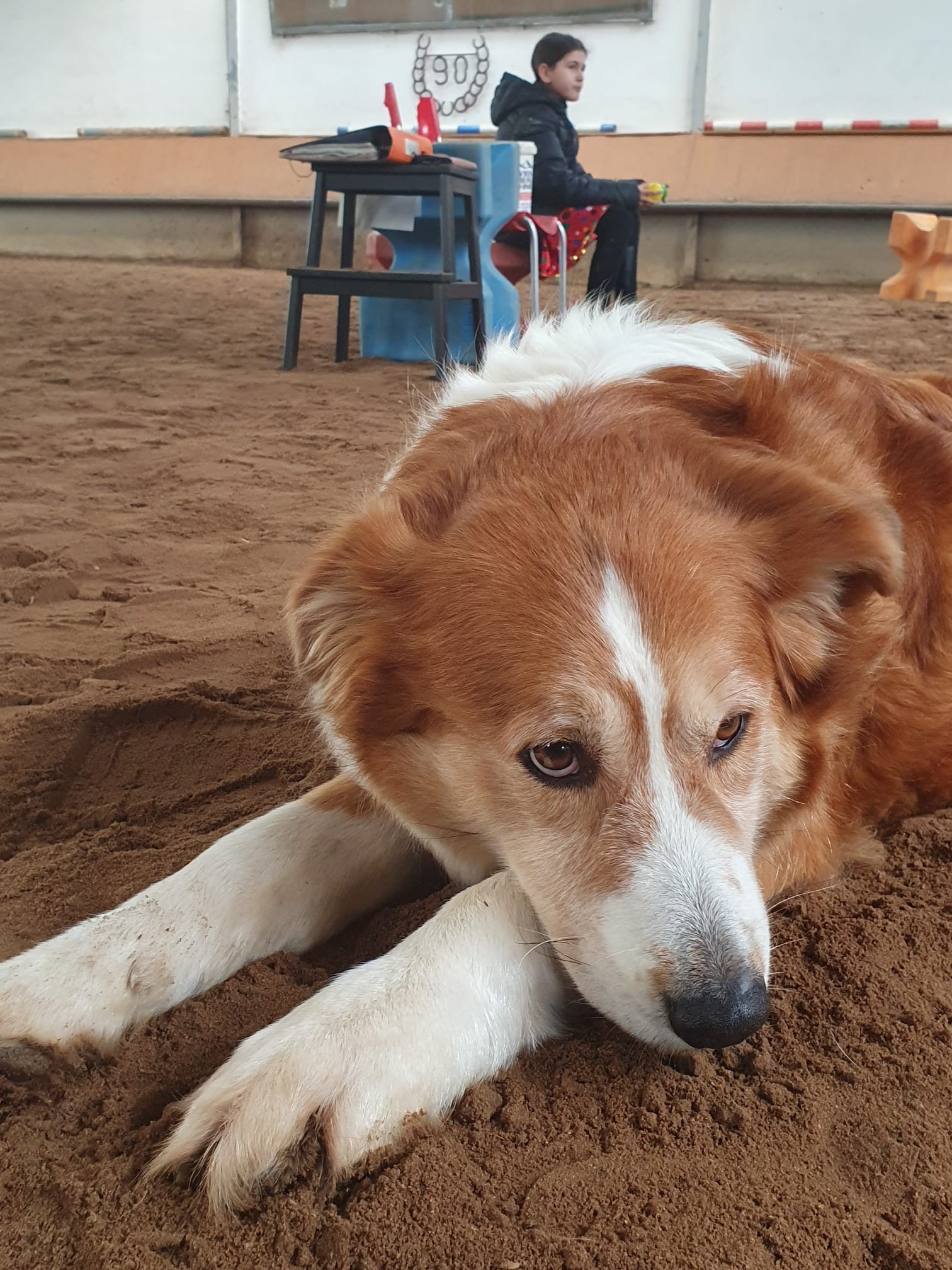 PHOTO-2023-02-19-12-07-28