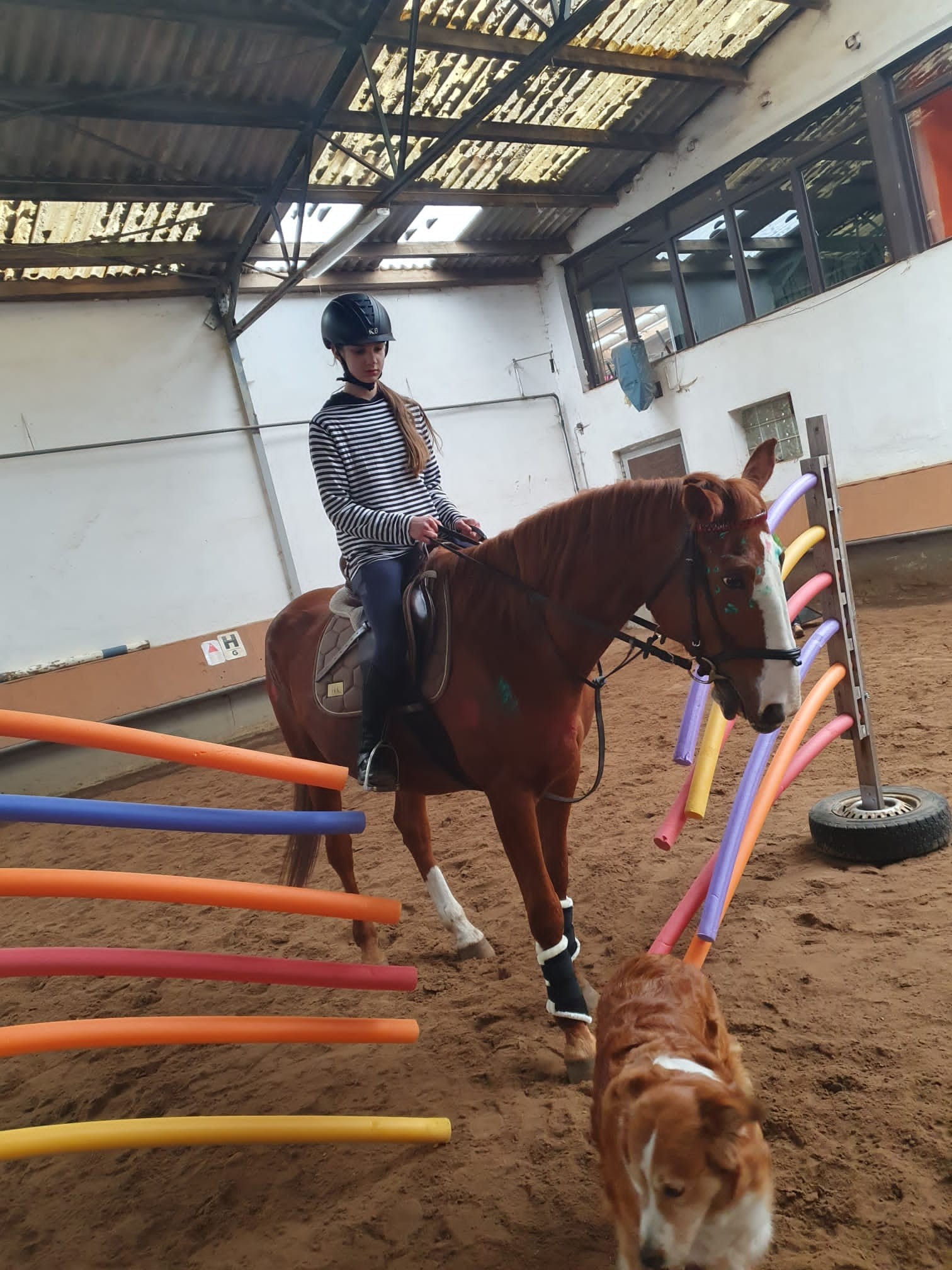 PHOTO-2023-02-19-12-07-29