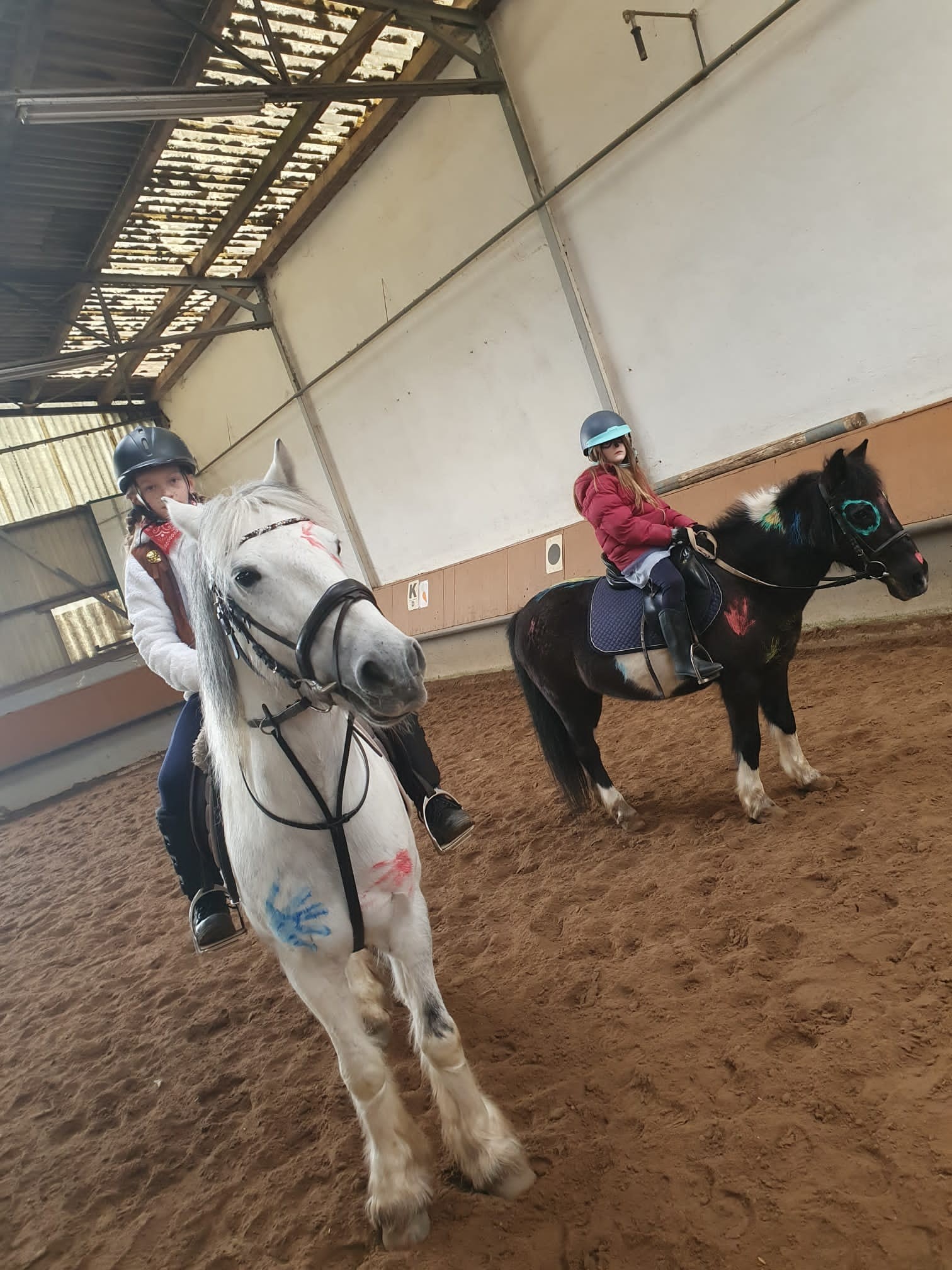 PHOTO-2023-02-19-12-08-37