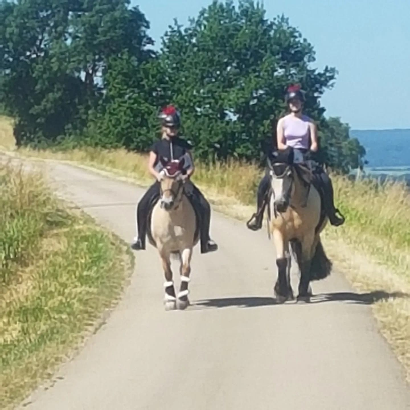 PHOTO-2023-06-28-19-10-27